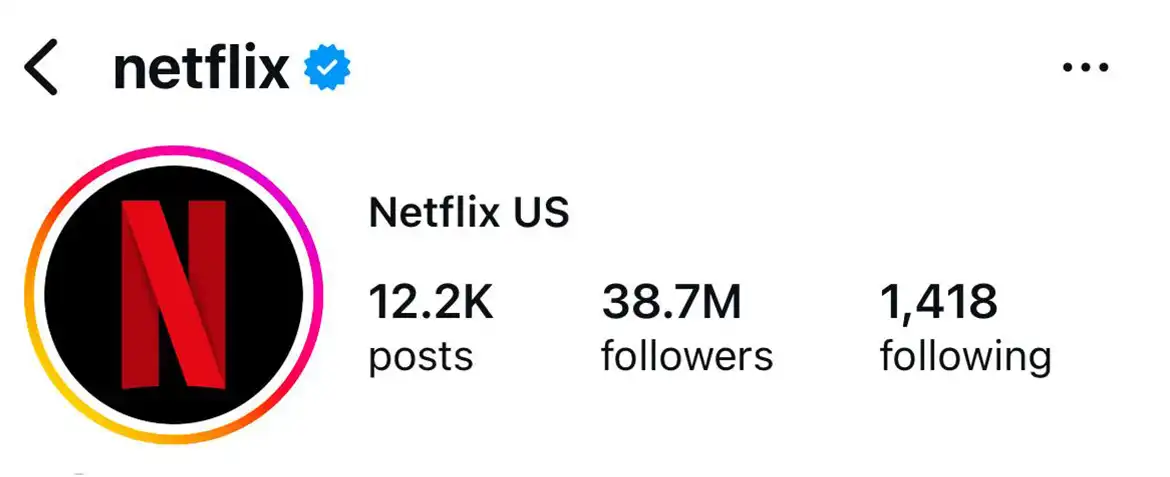 Netflix — نمونه پروفایل تأییدشده