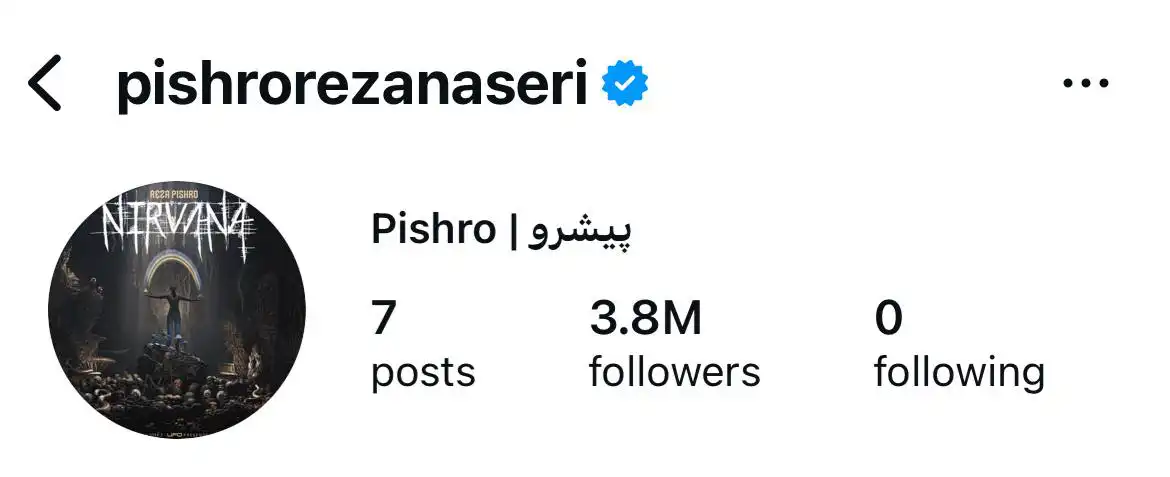 Pishro — نمونه پروفایل تأییدشده